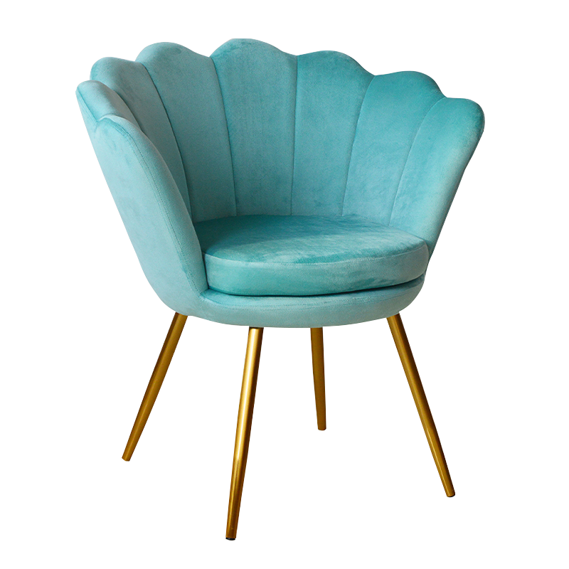 Sedia con accento per il tempo libero con vaso di fiori in velluto (X-5110)